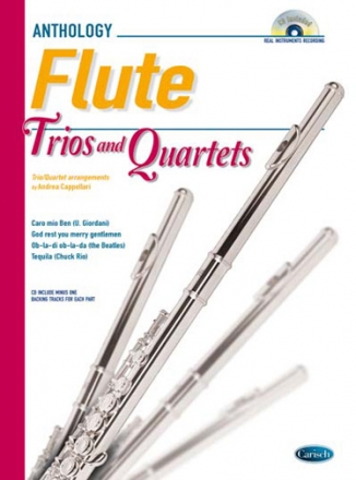 Andrea Cappellari, Flute Trios and Quartets Flute Buch + CD