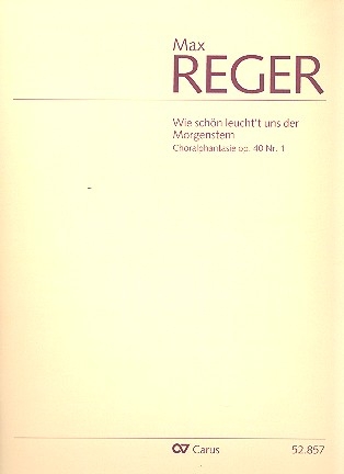 Wie schn leucht't uns der Morgenstern op.40,1 fr Orgel