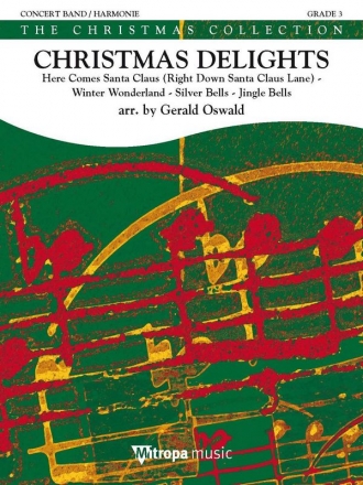 Christmas Delights Concert Band/Harmonie Partitur