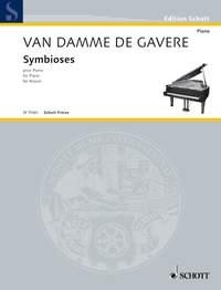 Damme de Gavere, Didier van Symbioses Klavier