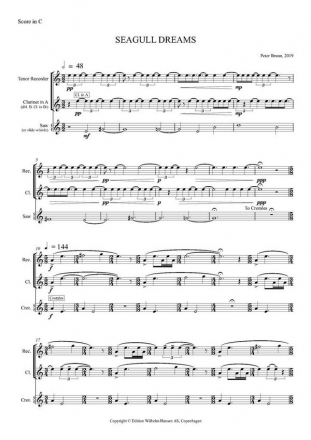 Peter Bruun, Seagull Dreams Tenor Recorder, Clarinet in A/Bass Clarinet, and Percussion Score