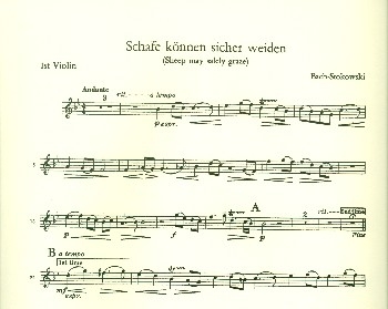 Schafe knnen sicher weiden BWV208 fr Orchester Violine 1,  Archivkopie