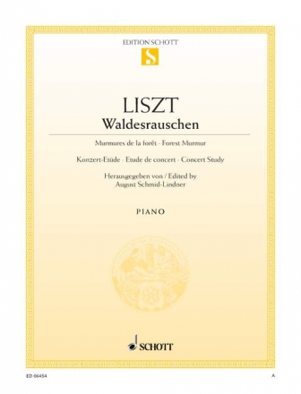 Waldesrauschen Konzertetde fr Klavier