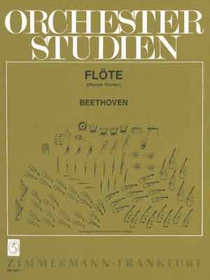 Orchesterstudien Flte  