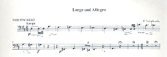 Largo und Allegro fr Flte und Streicher Violoncello