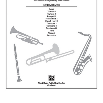 STAND AS ONE/SOUNDTRAX-STROMMEN  Default setting