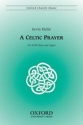 Riehle, Kevin A Celtic Prayer