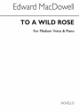 Edward MacDowell, To A Wild Rose In F Vocal and Piano Buch