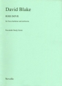 David Blake, Blake Rise Dove F/s Orchestra Buch