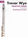 Practice Book For The Flute Vol. 5 (Breathing & Scales) for flute