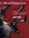 Rudolph the red-nosed Reindeer and other Christmas Carols for 3 recorders sat(b),  score+parts