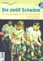 Die zwlf Schwne (+CD) Ein Mrchenmusical fr die Klassen 5/6 Zeitschriften-Sonderheft