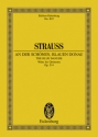 An der schnen blauen Donau op.314 fr Orchester Studienpartitur