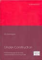 Under Construction - Kontextbezogene Analyse afroamerikanischer Popmusik Band 1 und 2