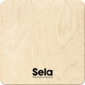 Bass Cajon - Spielflche (Rckseite)  Sela