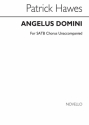 Patrick Hawes, Angelus Domini SATB Chorpartitur