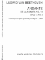 Ludwig van Beethoven, Andante De La Sonata No10 Gitarre Buch