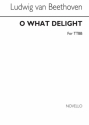 Ludwig van Beethoven, Beethoven O What Delight (English/German) TTBB Chorpartitur