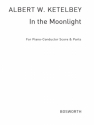 In The Moonlight  for orchestra piano-conductor score and parts