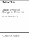 Elias Birds Practise Songs In Dreams Solo Clarinet Clarinet Instrumental Work