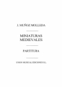 Miniaturas Medievales  Buch