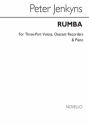 Peter Jenkyns, Rumba Recorder Buch