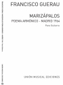 Marizapalos Gitarre Buch