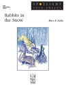 Mary K. Sallee: Rabbits In The Snow Piano Solo Instrumental Album