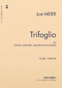 Jost Meier, Trifoglio Clarinet, Cello, Piano and Orchestra Partitur