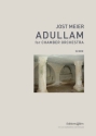 Jost Meier, Adullam Chamber Orchestra Partitur