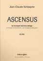 Jean-Claude Schlaepfer, Ascensus Trumpet and Low Strings Partitur