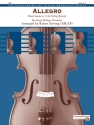 Allegro (s/o score) String Orchestra