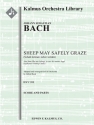 Sheep May Safely Graze BWV 208 (f/o) Full Orchestra