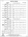 Gentle Winds (c/b score) Symphonic wind band