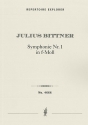 Symphony No.1 in F minor Orchestra