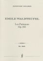 Les Patineurs Op. 183, concert waltz Orchestra