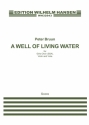 Peter Bruun, A Well Of Living Water SSA, Violin and Viola Partitur