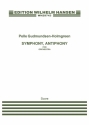 Pelle Gudmundsen-Holmgreen, Symphony Antiphony Orchestra Partitur