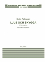 Selim Palmgren, Skymning Op. 51 No. 3 Klavier Buch