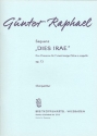 Sequenz Dies Irae op.73 fr 2 gem Chre a cappella Partitur