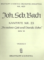 Du wahrer Gott und Davids Sohn Kantate Nr.23 BWV23 Violine 1