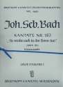 Sie werden euch in den Bann tun Kantate Nr.183 BWV183 Harmonie