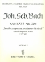 Zerreiet zersprenget zertrmmert die Gruft Kantate Nr.205 BWV205 Violine 1