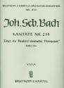 Tnet ihr Pauken erschallet Trompeten Kantate Nr.214 BWV214 Viola