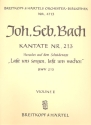 Lasst uns sorgen lasst uns wachen Kantate Nr.213 BWV213 Violine 2