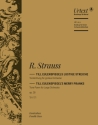 Till Eulenspiegels lustige Streiche op.28 fr Orchester Kontrabass