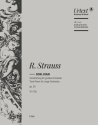 Strauss, Richard, Don Juan op. 20 TrV 156 Orchester Viola