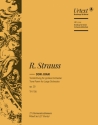 Strauss, Richard, Don Juan op. 20 TrV 156 Orchester Harmoniestimmen