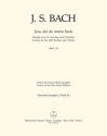 Jesu, der du meine Seele Kantate zum 14. Sonntag nach Trinitatis BWV 78 Harmoniestimmen Fl/2 Ob/Hn