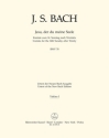 Jesu, der du meine Seele Kantate zum 14. Sonntag nach Trinitatis BWV 78 Stimme(n) V1